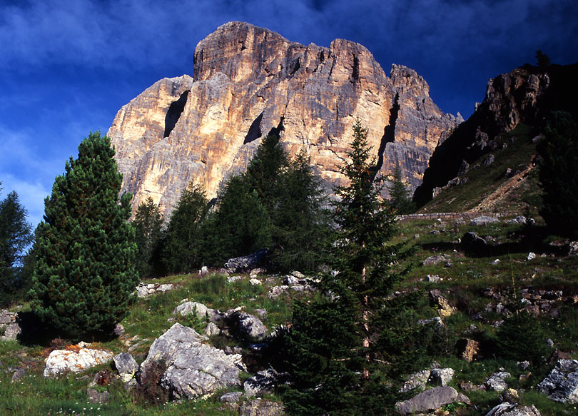 Tofana di Rozes I