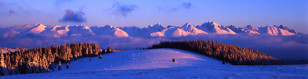 Pohled na Vysok Tatry z Nzkch Tater.